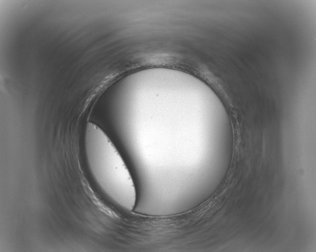X0000061110106200511180945