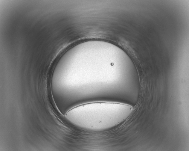 X0000061110108200511180945