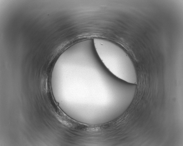 X0000061110110200511180944