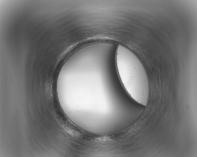 X0000061110112200511180944