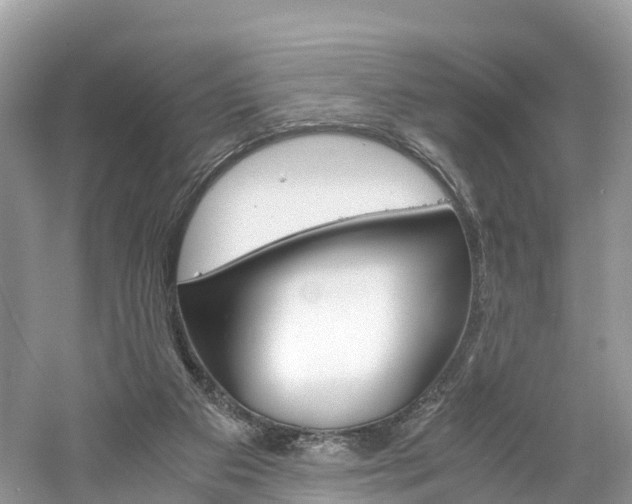 X0000061110113200511180944