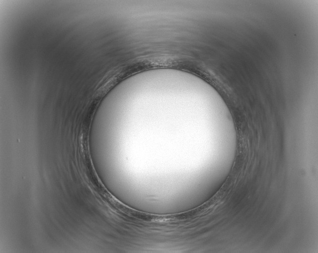 X0000061110117200511180944