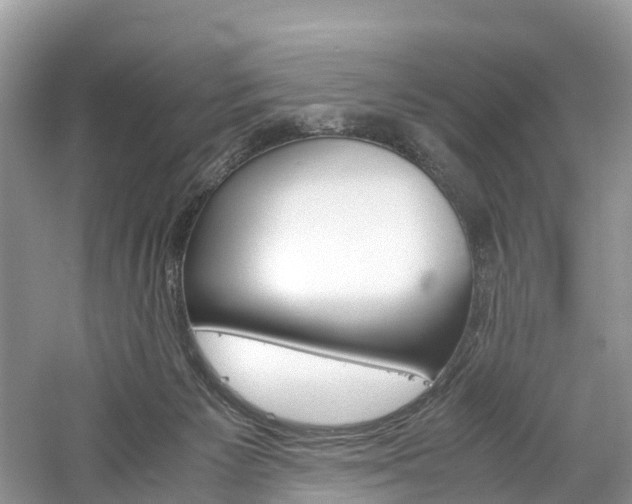 X0000061110125200511180944