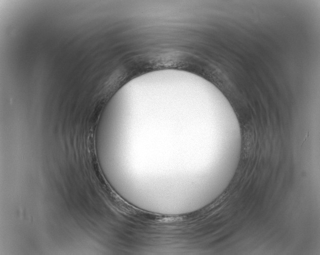 X0000061110126200511180944