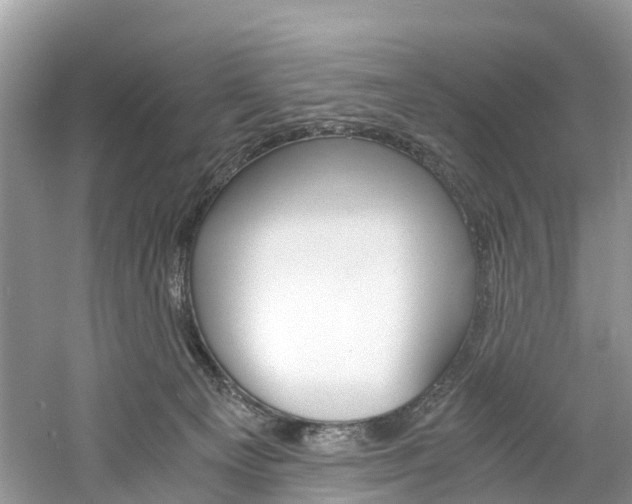 X0000061110129200511180944