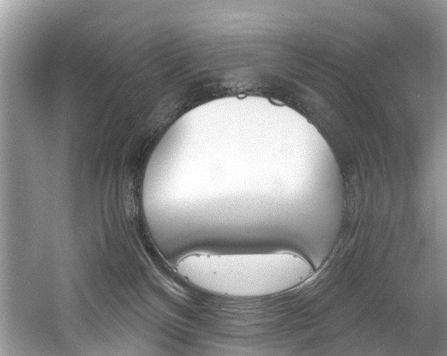 X0000061110136200511180944