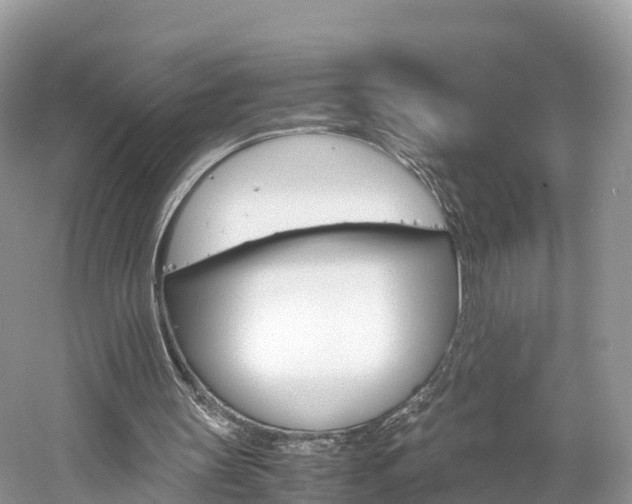 X0000061110147200511180943