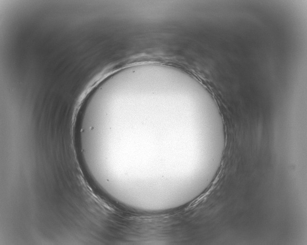 X0000061110150200511180943