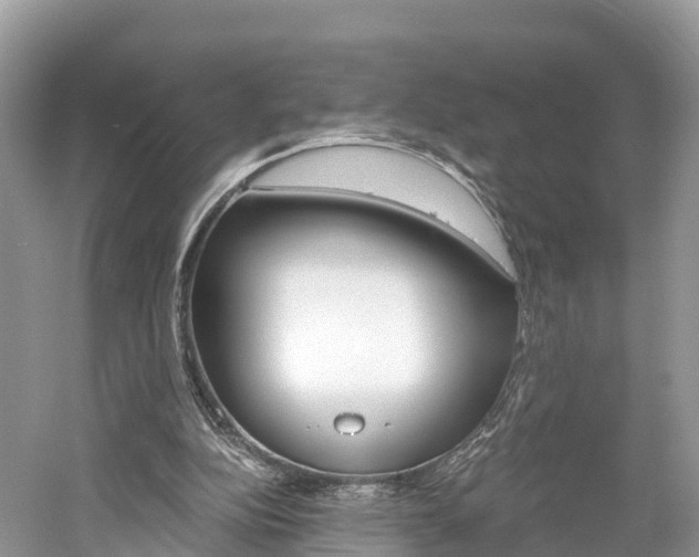 X0000061110152200511180943