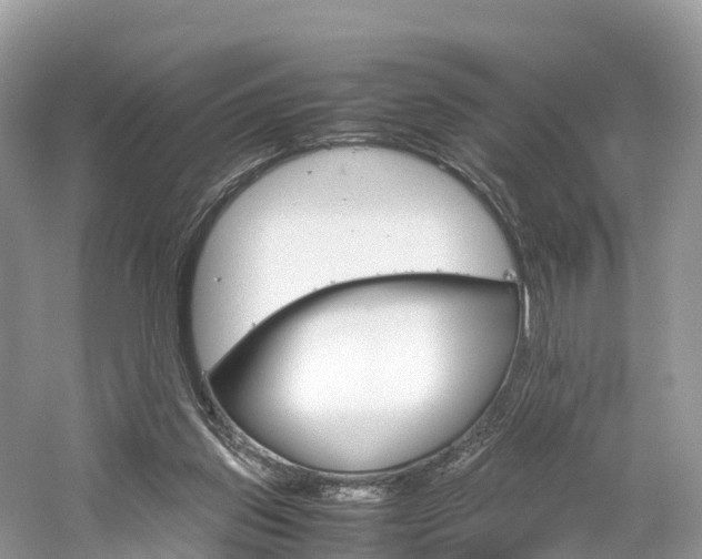 X0000061110157200511180943