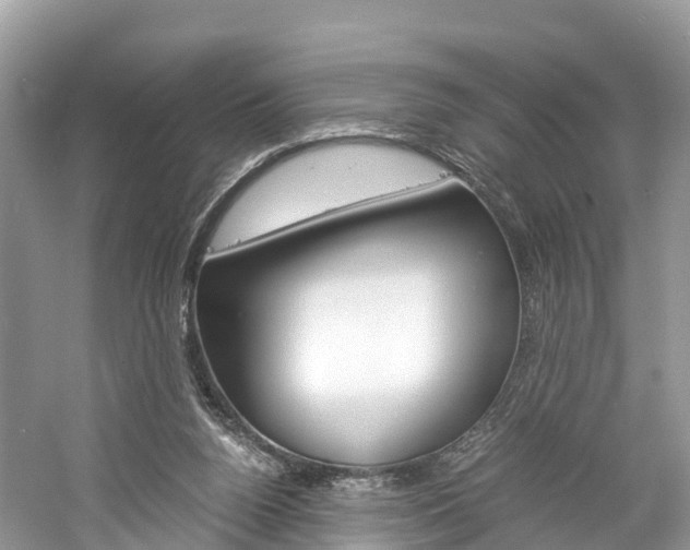 X0000061110160200511180943