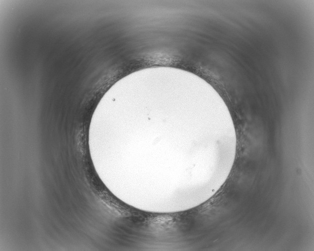 X0000061110162200511180943