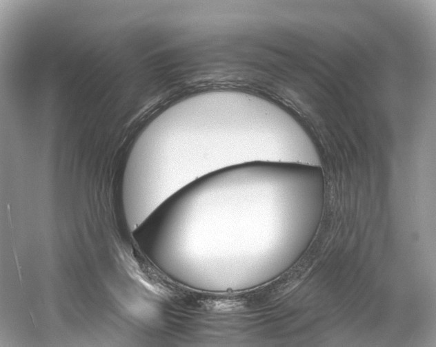 X0000061110165200511180943
