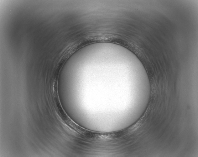 X0000061110166200511180943