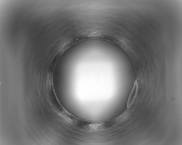 X0000061110172200511180944
