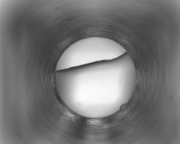 X0000061110189200511180944