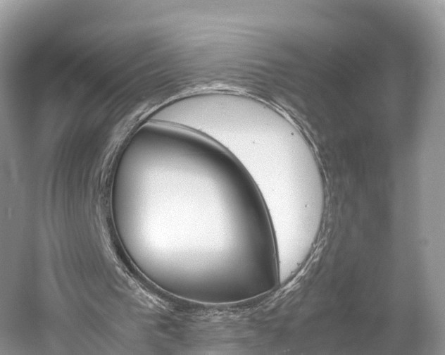 X0000061110193200511180943