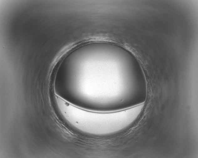 X0000061110199200511180943