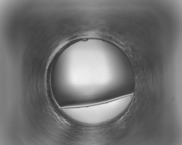 X0000061110200200511180943