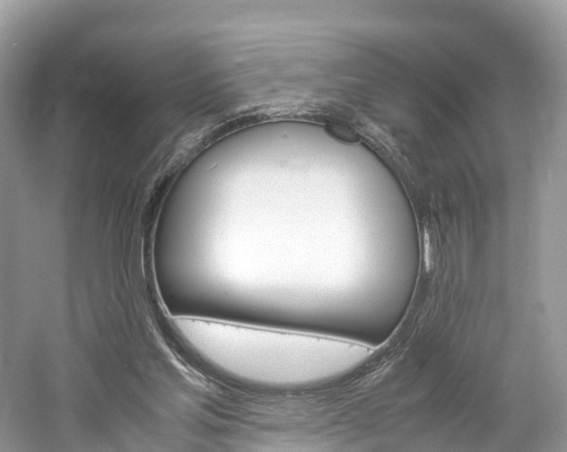 X0000061110205200511180943