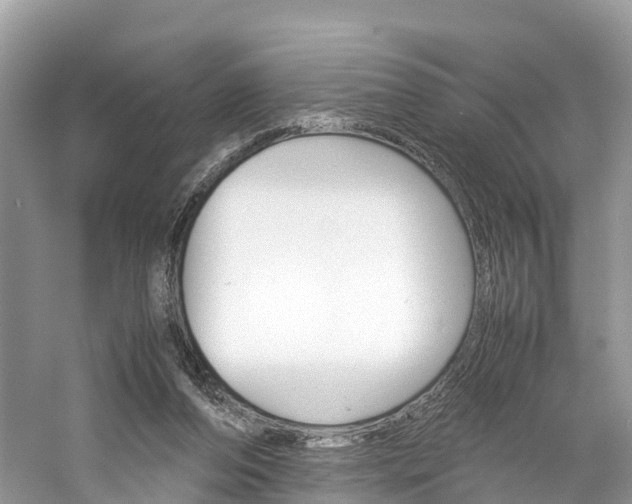 X0000061110208200511180943