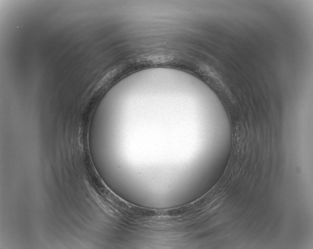 X0000061110212200511180943