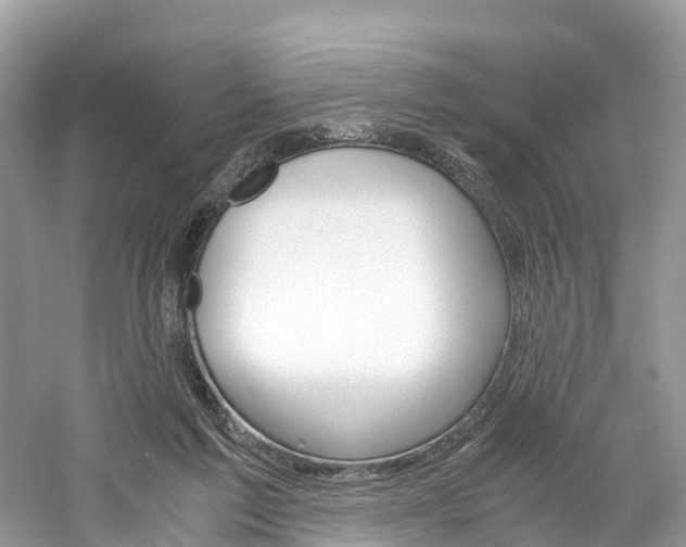 X0000061110213200511180943