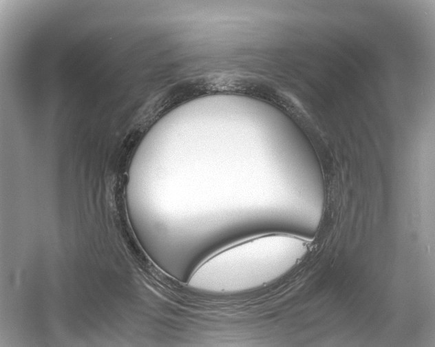 X0000061110217200511180943