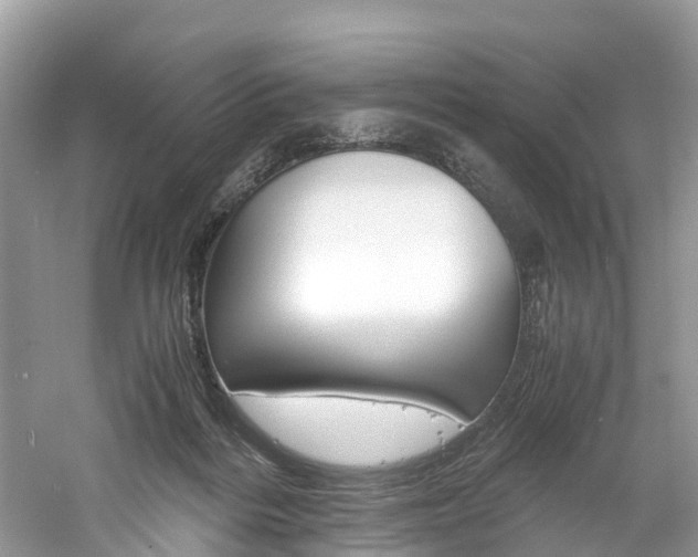 X0000061110220200511180943