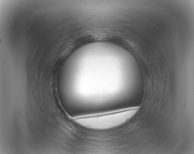 X0000061110221200511180943