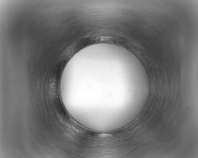 X0000061110222200511180943