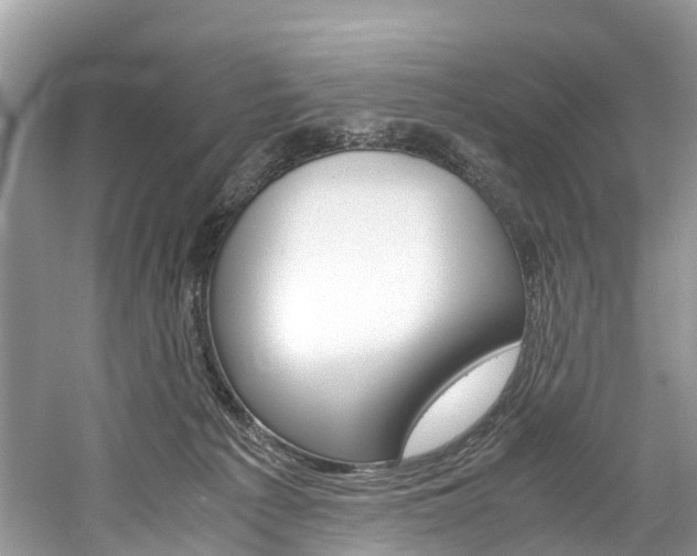 X0000061110225200511180943