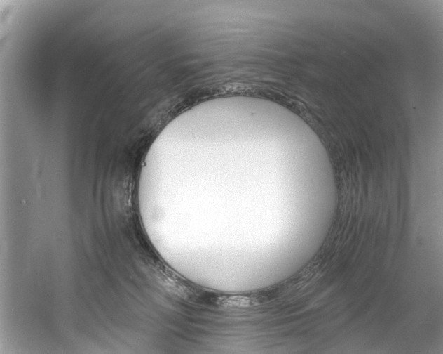 X0000061110230200511180942