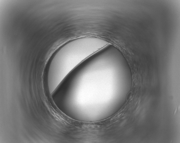 X0000061110242200511180941