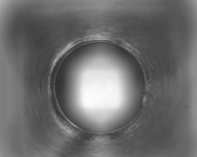 X0000061110248200511180942