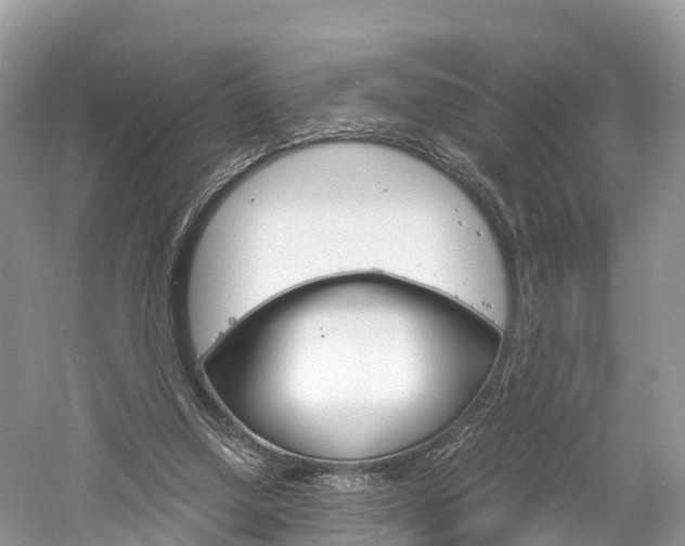 X0000061110250200511180942