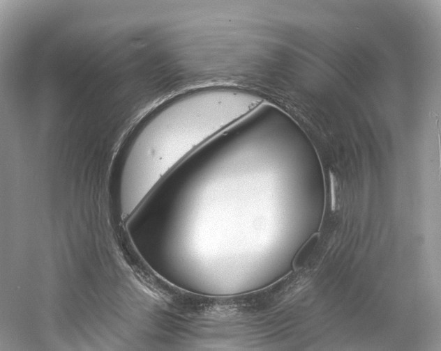 X0000061110252200511180942