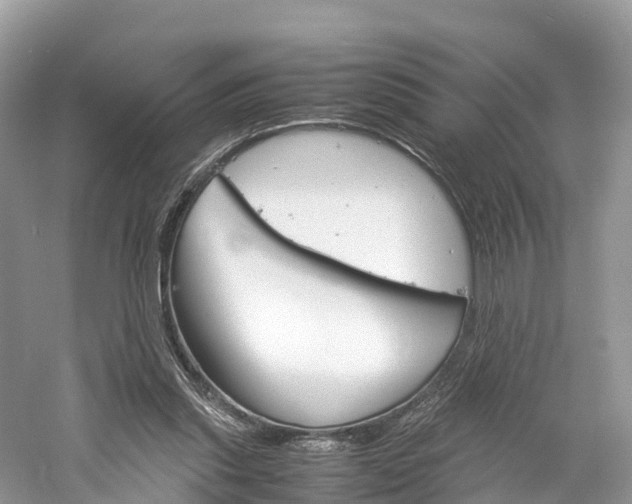 X0000061110253200511180942