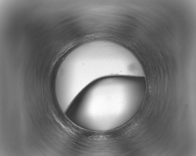 X0000061110254200511180942