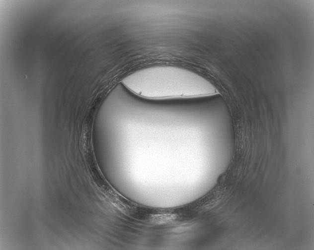 X0000061110266200511180942