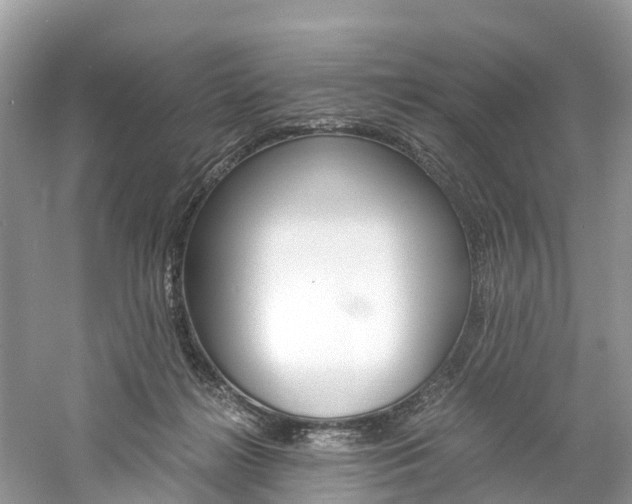 X0000061110268200511180942