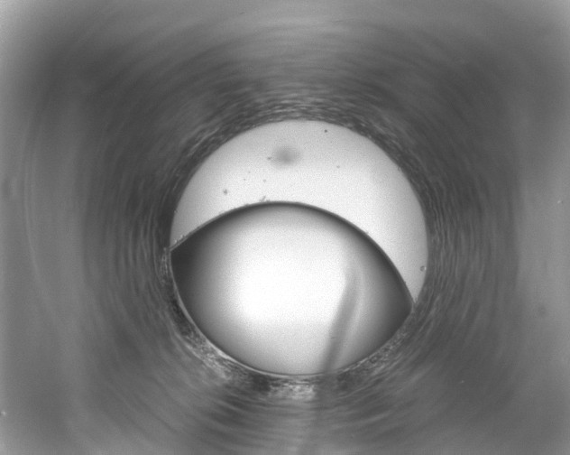X0000061110276200511180942