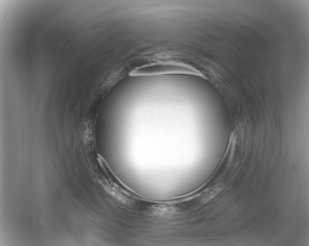 X0000061110284200511180942