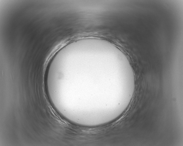 X0000061110293200511180941