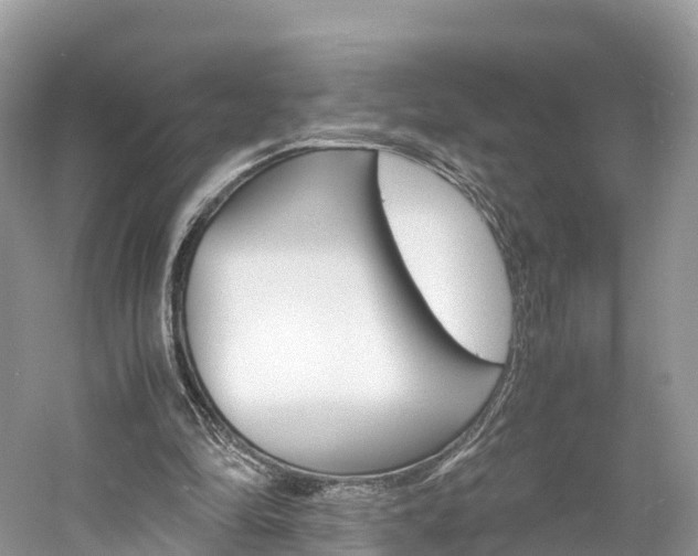 X0000061110294200511180941