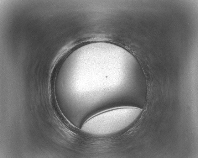 X0000061110296200511180941