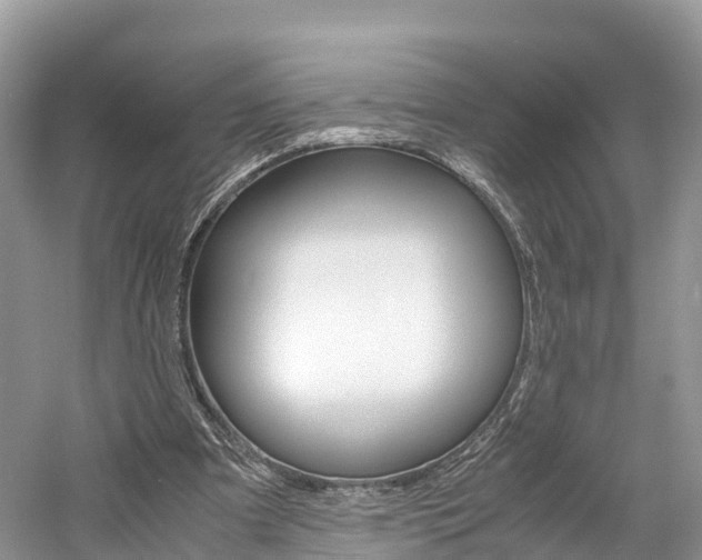 X0000061110297200511180941