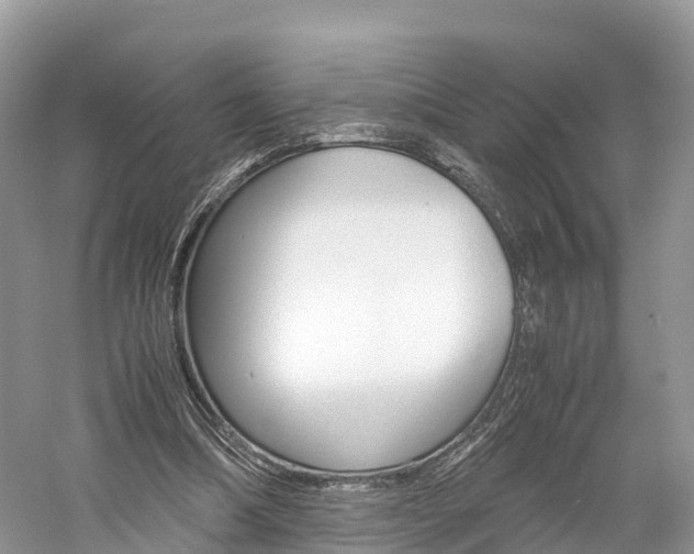 X0000061110298200511180941