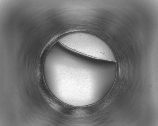 X0000061110300200511180941