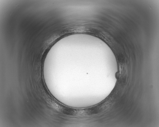 X0000061110301200511180941